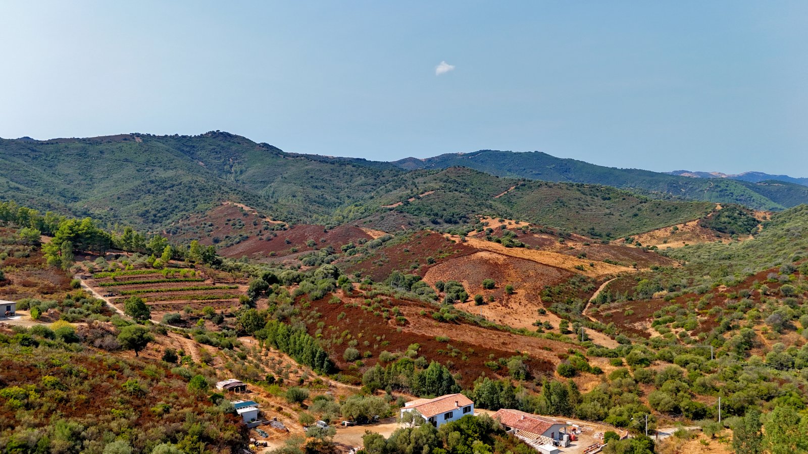Ihr neues Grundstück in Torpe - Baubewilligung inklusive!
