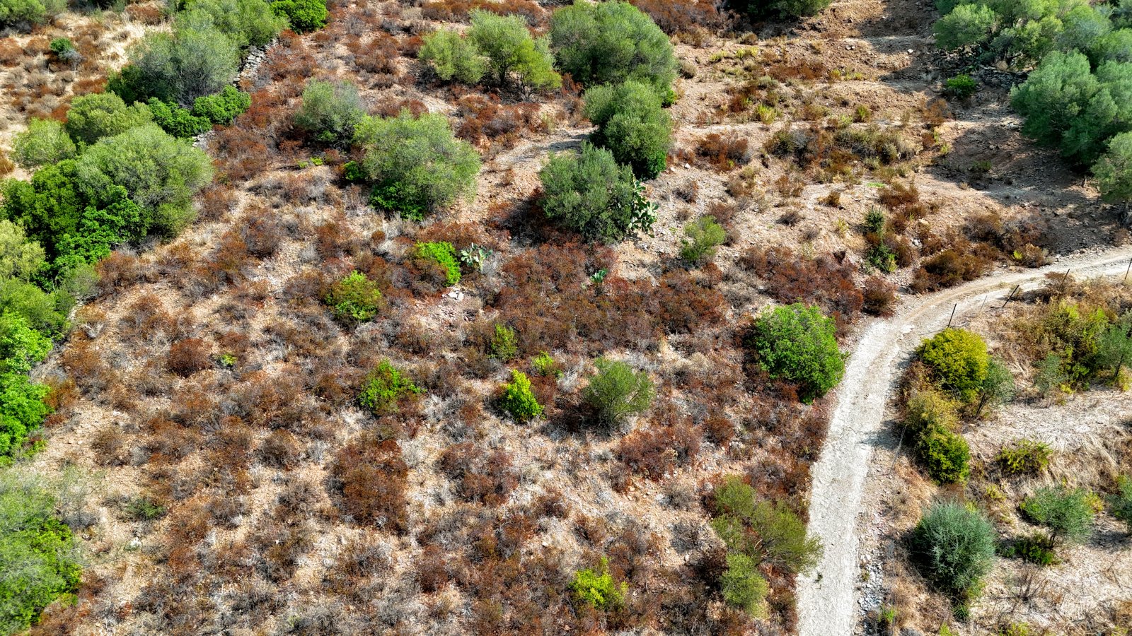 Ihr neues Grundstück in Torpe - Baubewilligung inklusive!