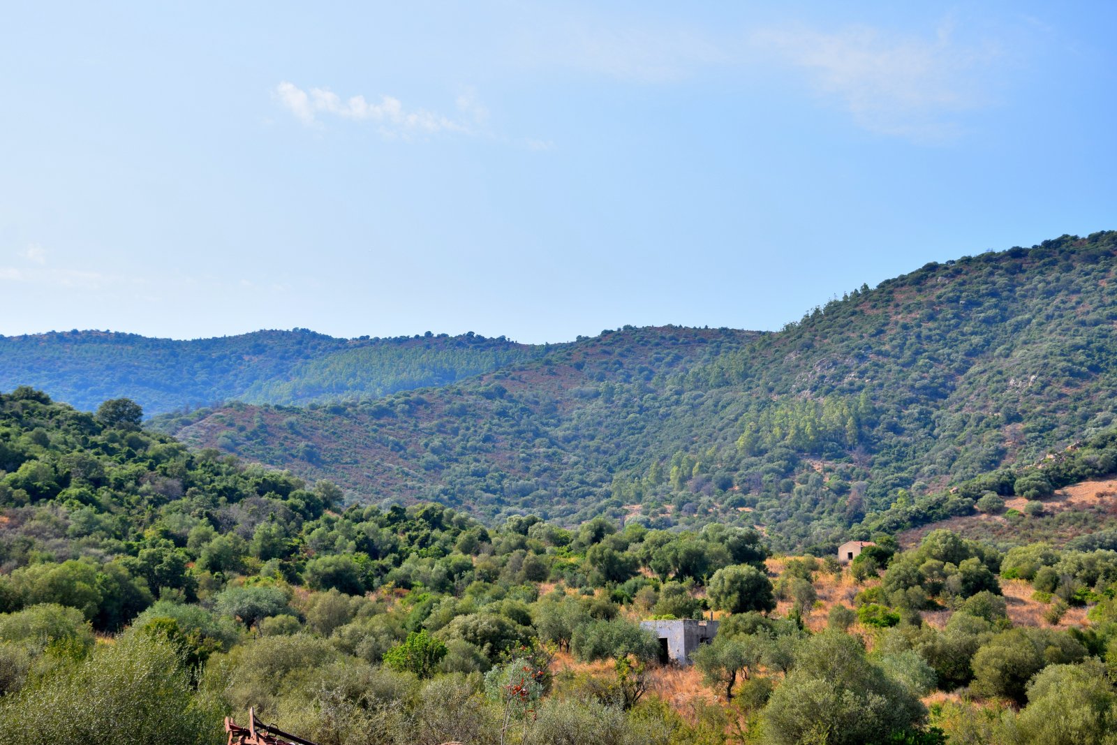 Fernsicht und Meerblick in Torpe