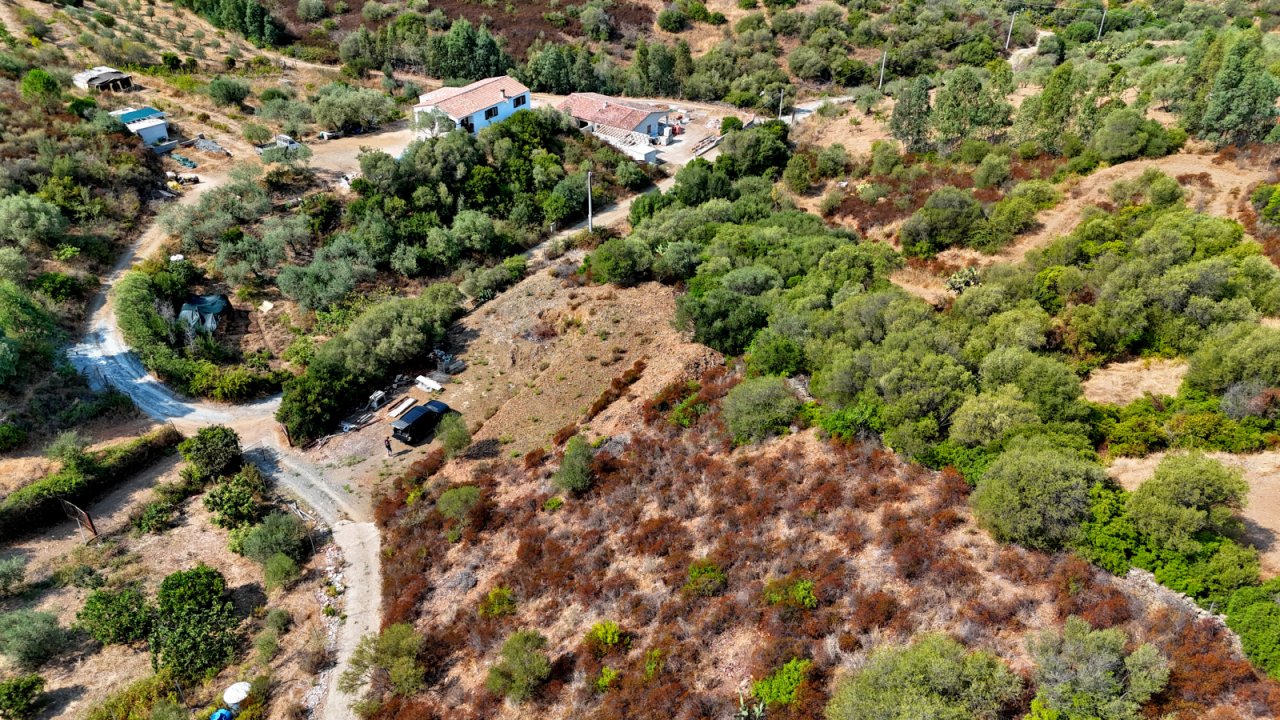 Übersicht bestehende Zufahrten und Nachbargrundstück