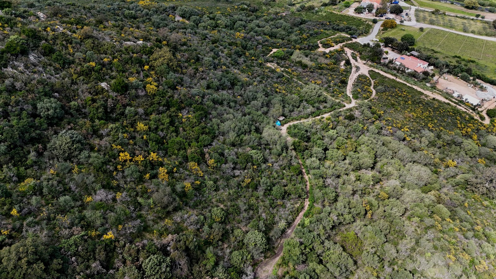 ... und hinab ins Tal zur Grundstückzufahrt und vorbei am Nachbarsgrundstück ... und hinab ins Tal zur Grundstückzufahrt und vorbei am Nachbarsgrundstück