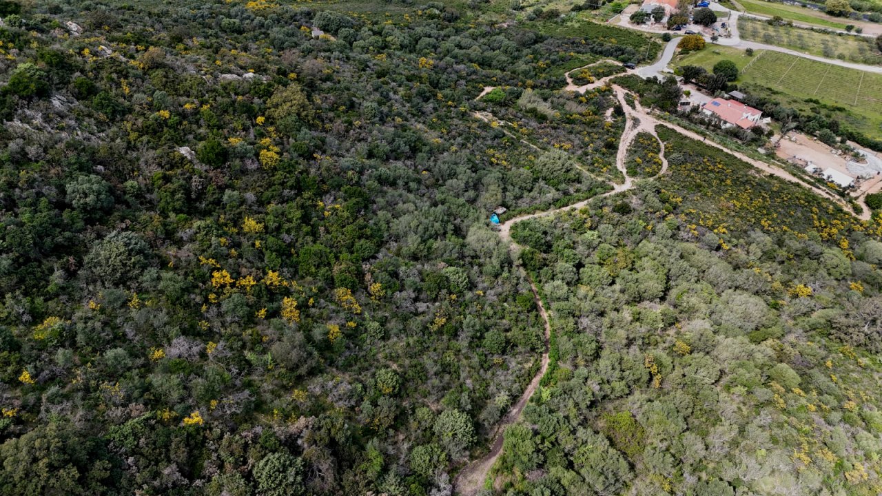 ... und hinab ins Tal zur Grundstückzufahrt und vorbei am Nachbarsgrundstück ... und hinab ins Tal zur Grundstückzufahrt und vorbei am Nachbarsgrundstück