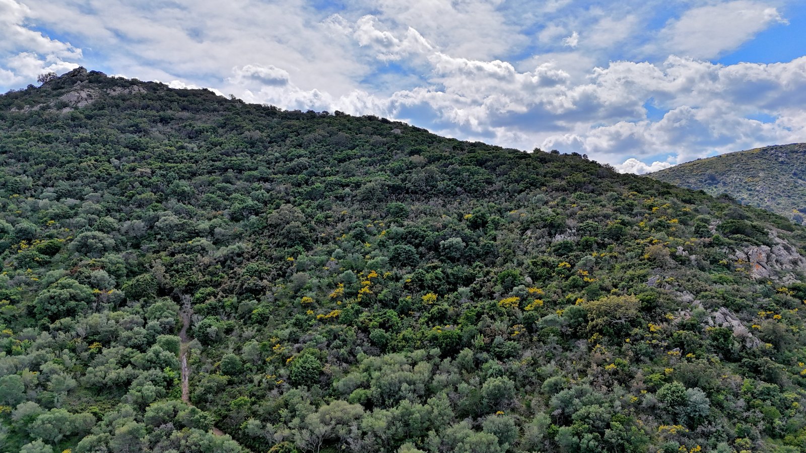 Höchster Bereich vom Grundstück am Monte Nieddu Höchster Bereich vom Grundstück am Monte Nieddu