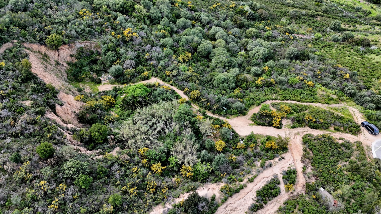Ein Zwischenplateau im unteren Bereich des Grundstücks Ein Zwischenplateau im unteren Bereich des Grundstücks