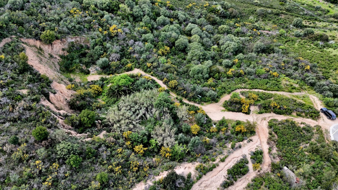 Ein Zwischenplateau im unteren Bereich des Grundstücks Ein Zwischenplateau im unteren Bereich des Grundstücks