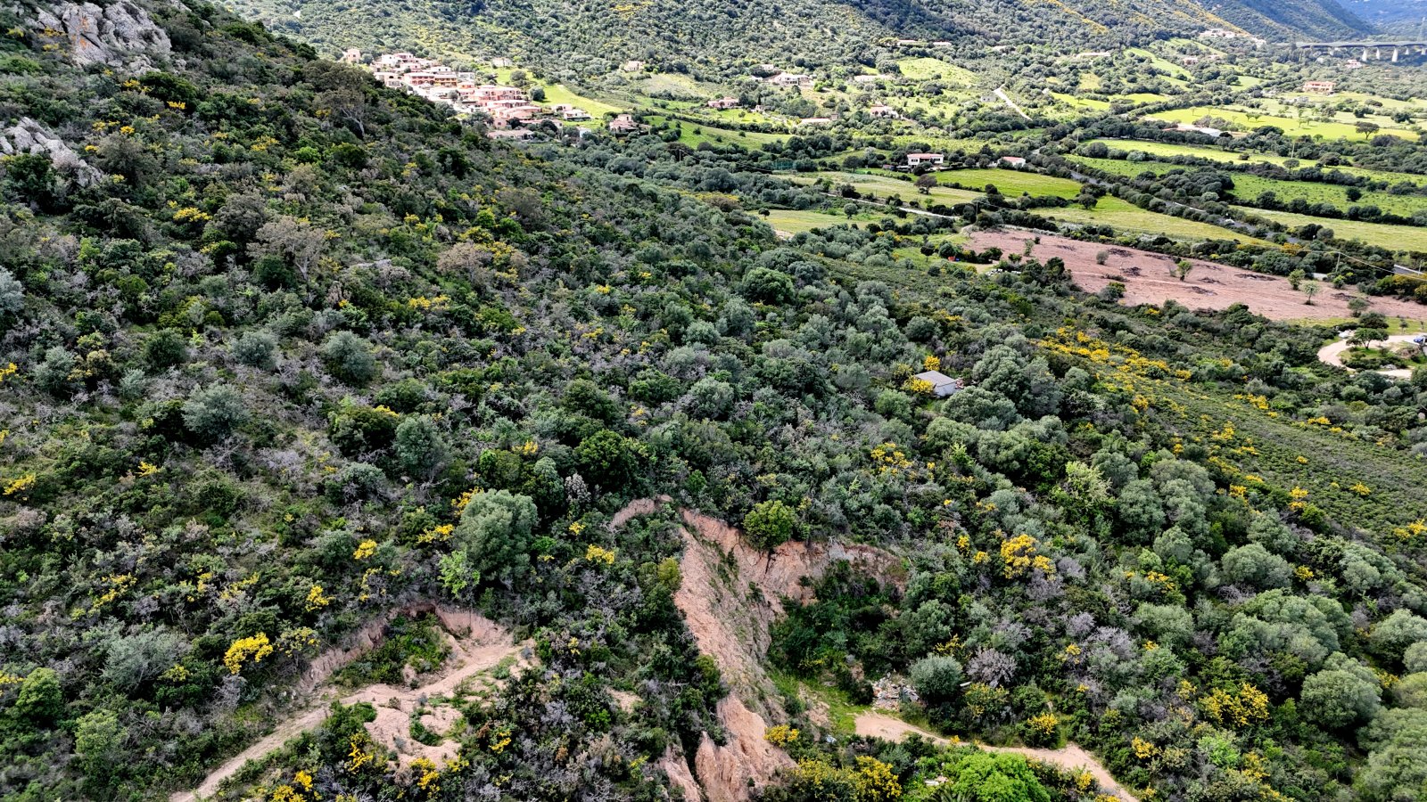 Dahinter liegt viel Natur und in angenehmer Entfernung erste Wohnsiedlungen Dahinter liegt viel Natur und in angenehmer Entfernung erste Wohnsiedlungen