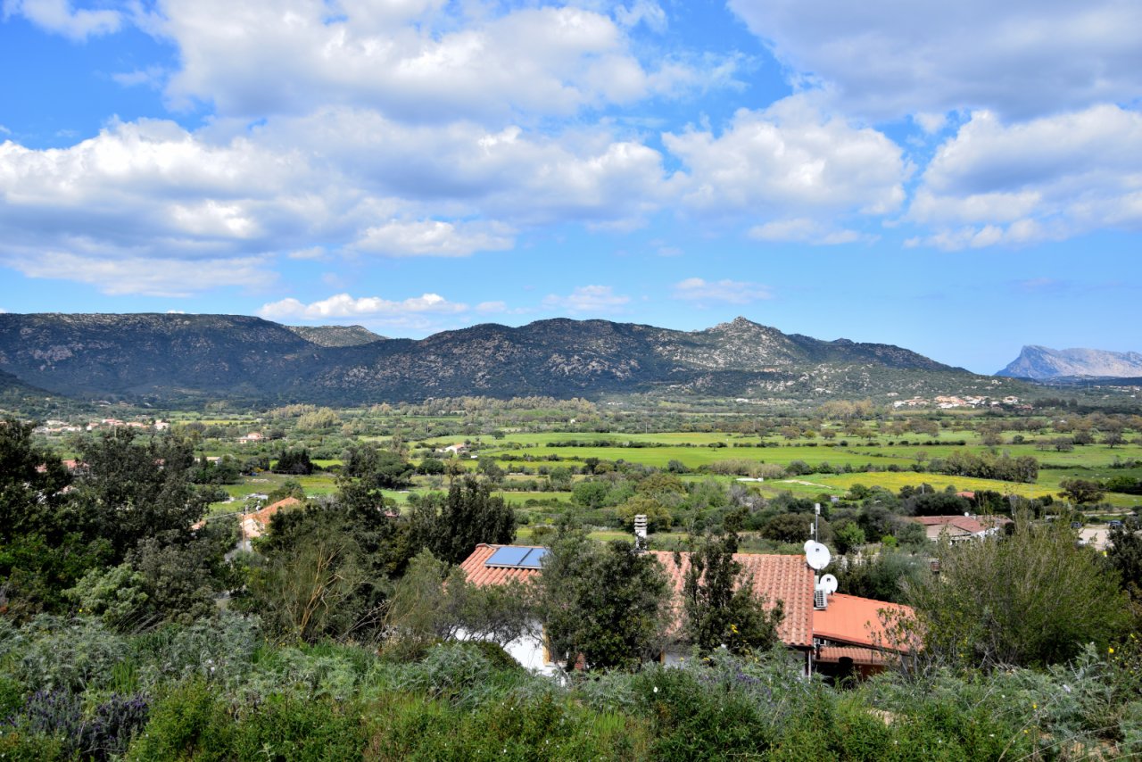 Mit Blick nach vorne ist eines der wenigen bebauten Nachbargrundstücke zu sehen Mit Blick nach vorne ist eines der wenigen bebauten Nachbargrundstücke zu sehen