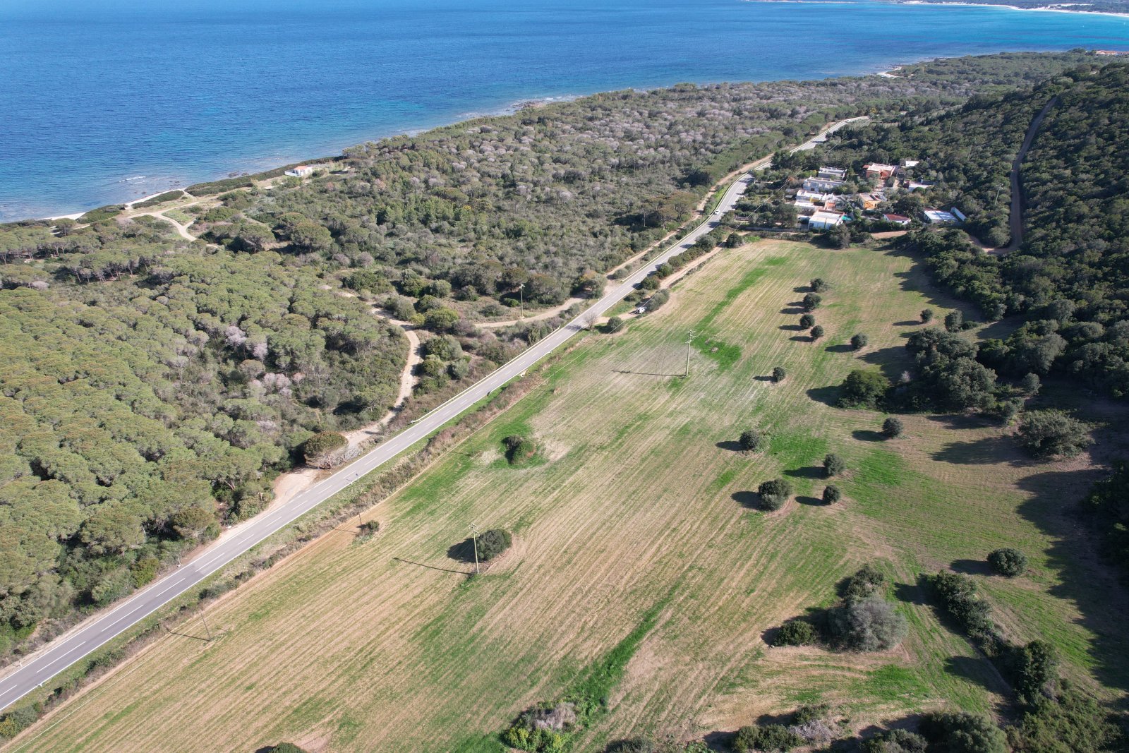 Luftansicht rechte Hälfte