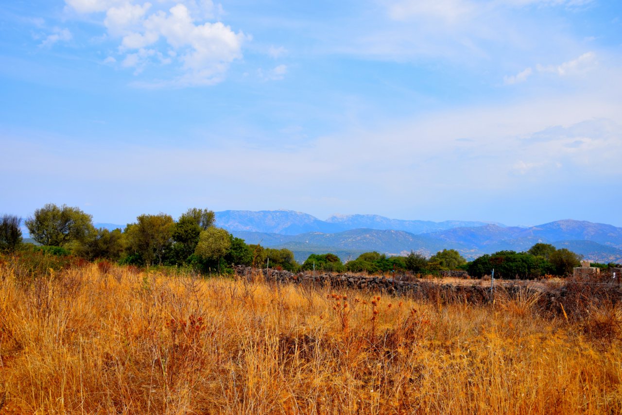 Grundstückansicht gegen Unten